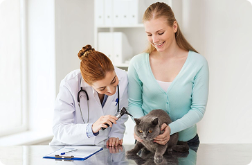 elso latogatas es konzultacio